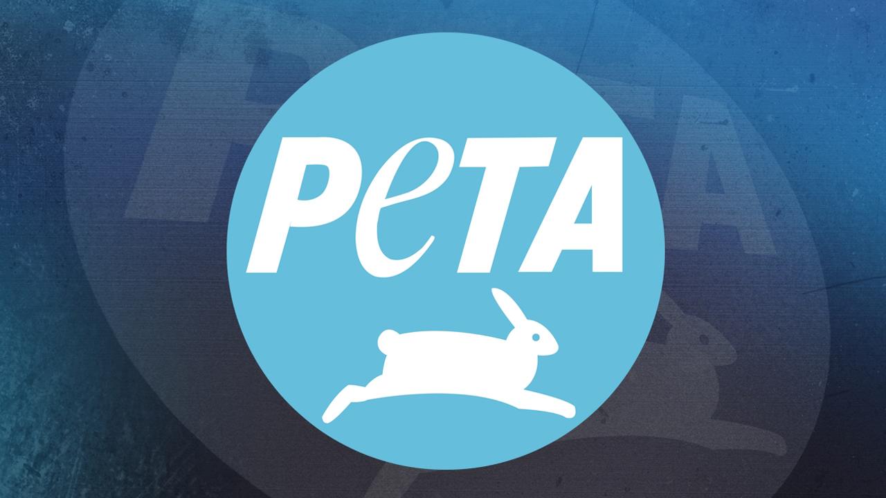 PETA's top controversies