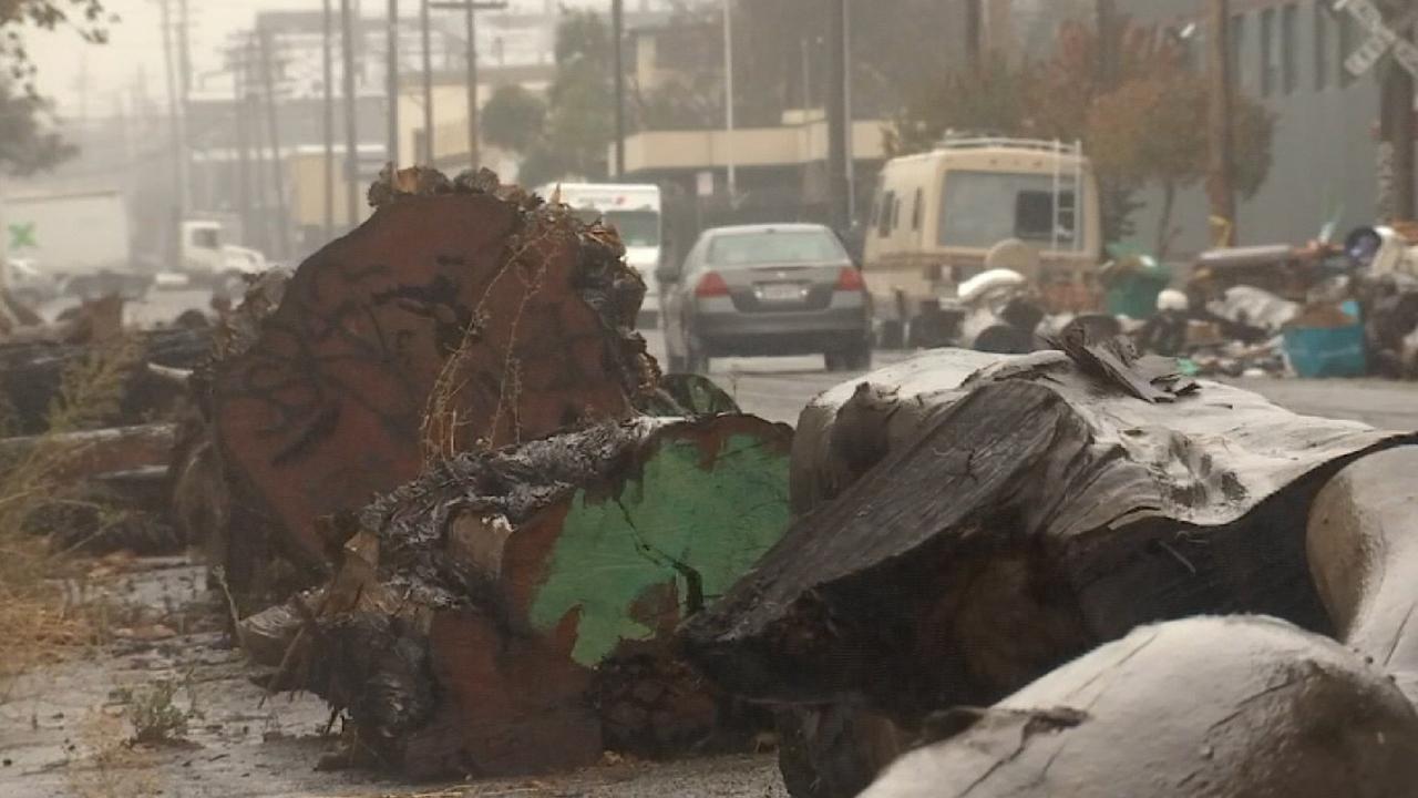Logs placed on Oakland street in apparent attempt to deter homeless from parking vehicles