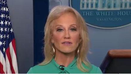 Kellyanne Conway: Nadler's 'Inspector Clouseau' game not flying with American people