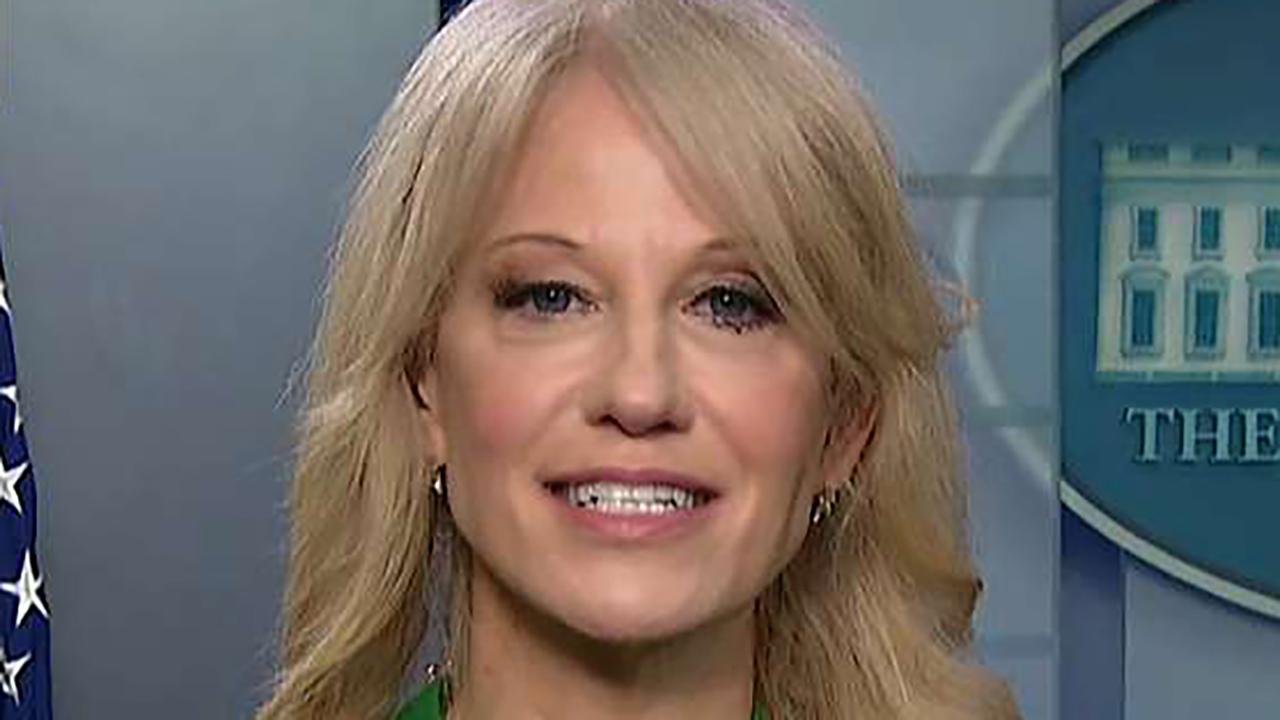 Kellyanne Conway: Voters will remember how Democrats wasted time on impeachment