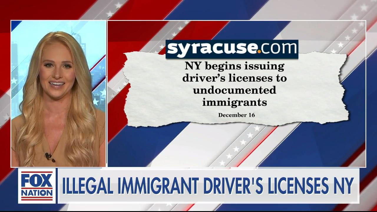 New law allows undocumented immigrants to obtain driver's licenses – The  Heights Herald