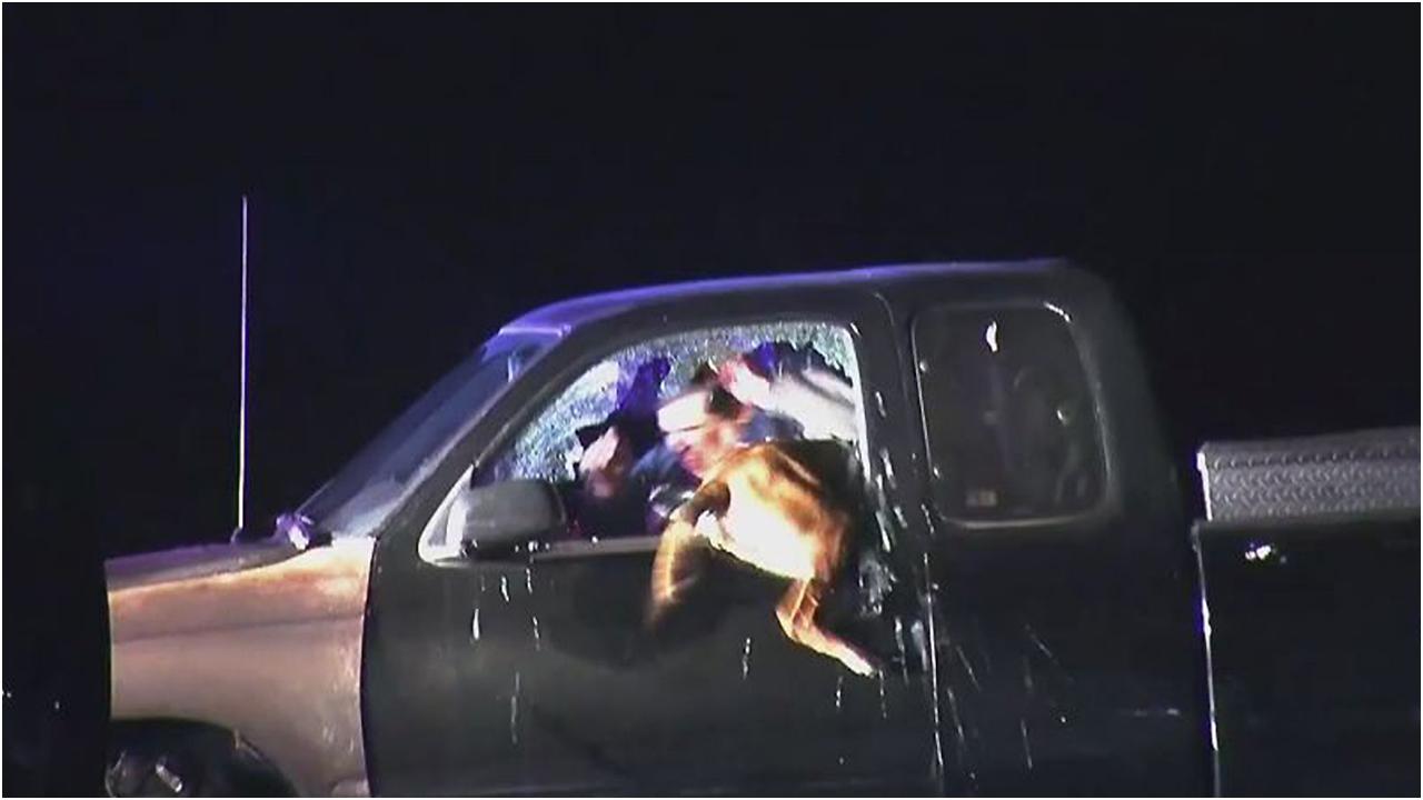K-9 cop flies through shattered vehicle window to make arrest
