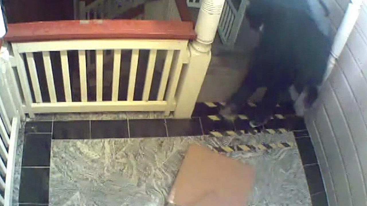 Christmas thief caught on camera surveillance cameras
