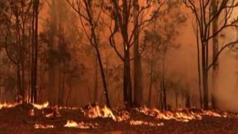 State of emergency declared in parts of Australia amid wildfires