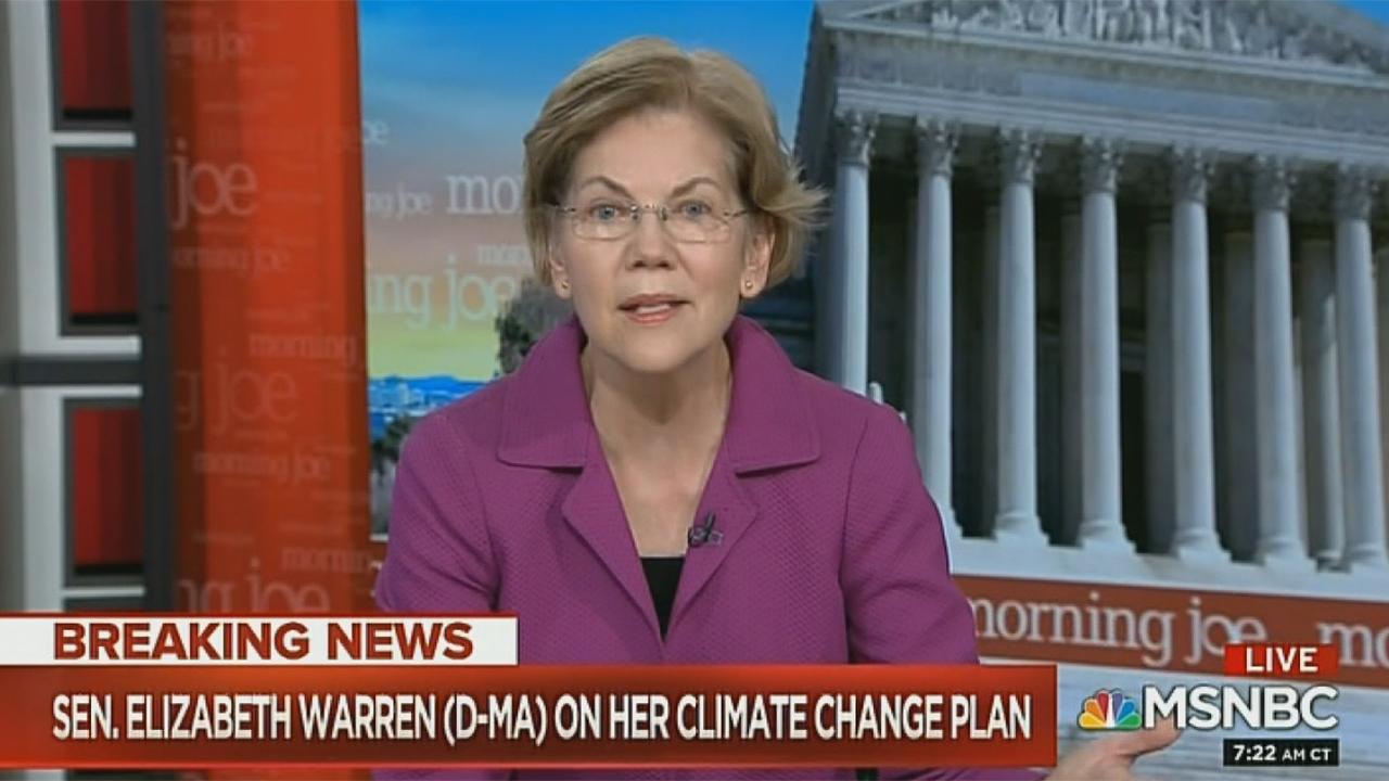 Warren calls for no new buildings or houses without 'zero carbon footprint' by 2028