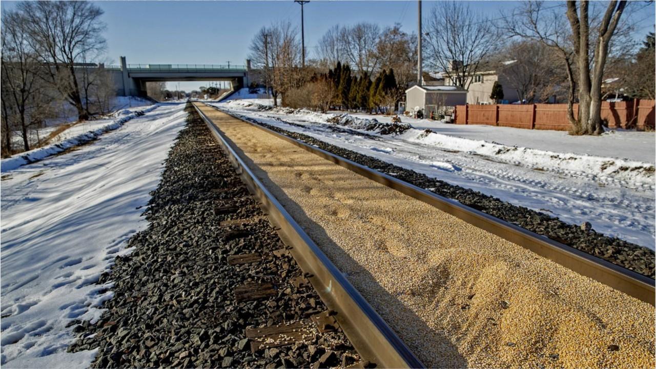 Minnesota railroad tracks filled with perfectly placed corn spill for more than third of a mile