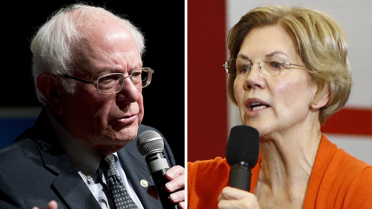 Rove: Warren, Sanders occupy same lane in Democrat Party and only one can survive