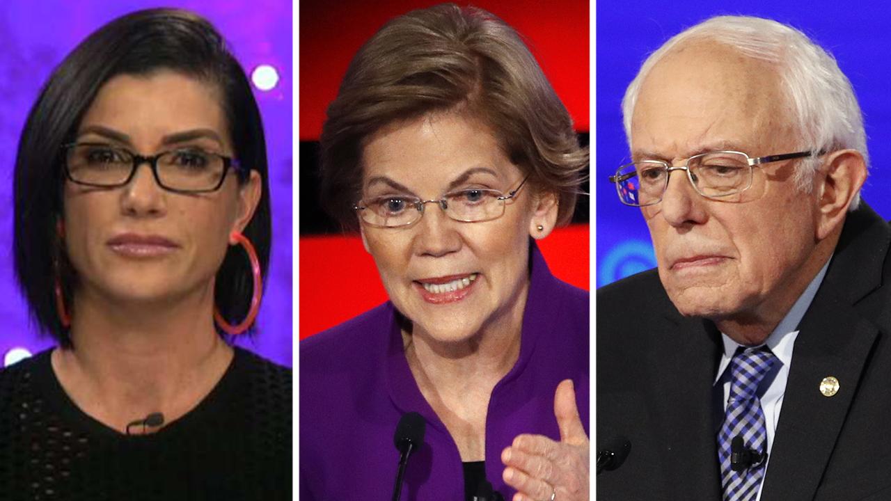 Loesch: Warren has lied so much that it's hard to take her seriously on Bernie spat