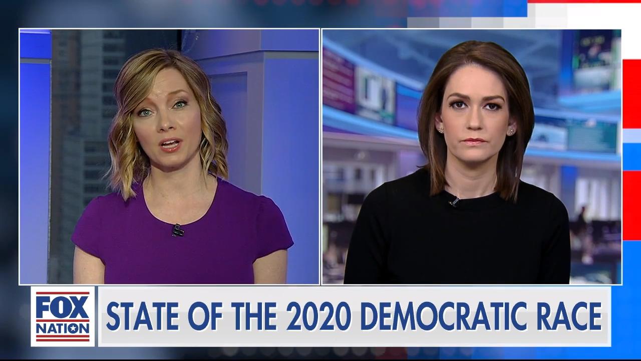 If 2020 candidates 'poo-poo' everything they'll 'turn voters off': Democratic strategist