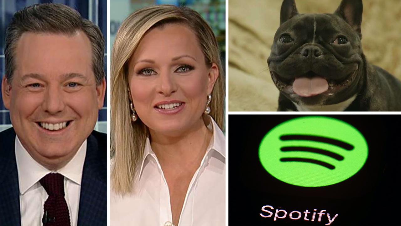 Ed Henry joins Sandra Smith on 'America's Newsroom' to discuss Spotify playlists for dogs