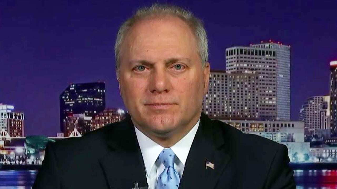 Scalise: Swing voters are furious with Pelosi's impeachment 'obsession'