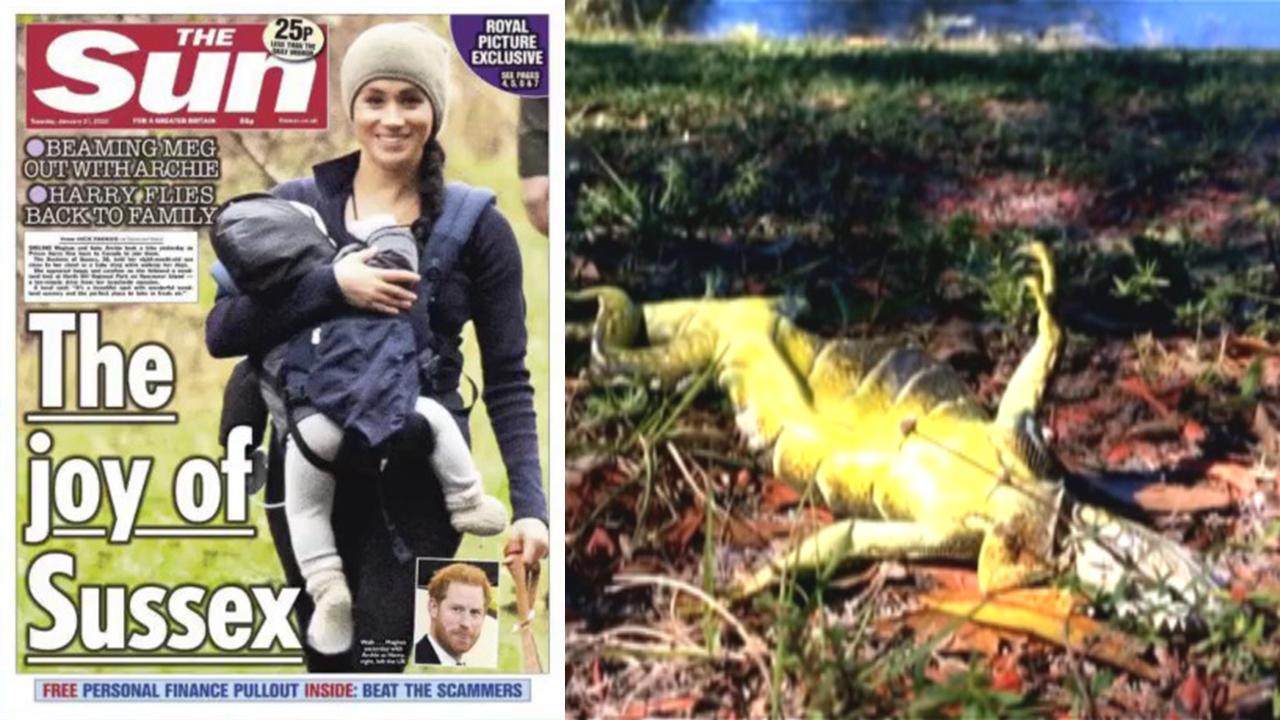 Meghan Markle under fire for how she is holding her son; frozen iguanas prompt weather alert