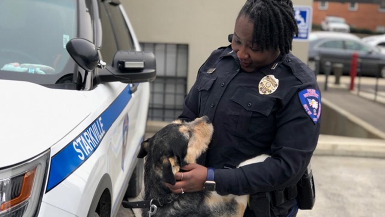 MS police officers do community outreach with shelter dogs	