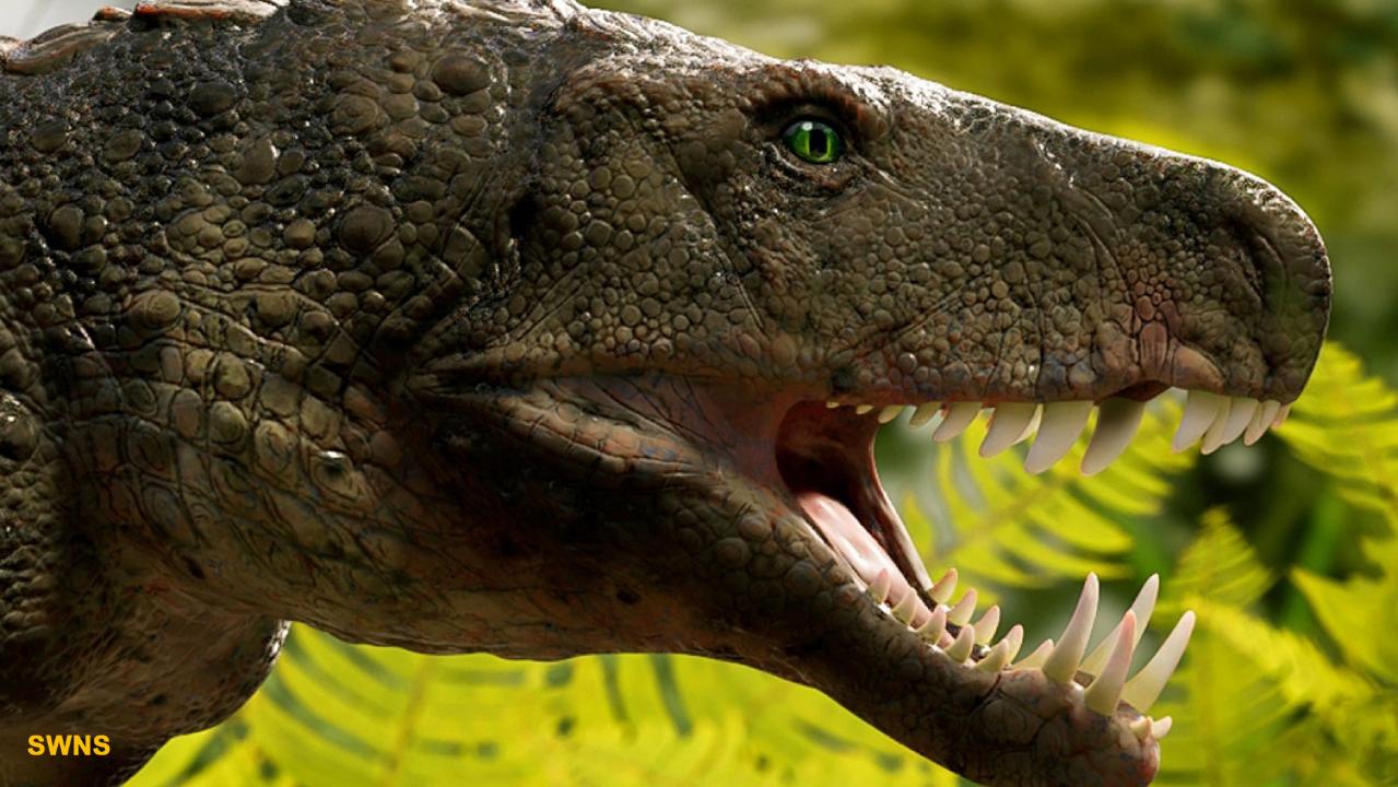 30-Foot 'Terror Crocodile' Ambushed Dinosaurs at Water's Edge, Smart News