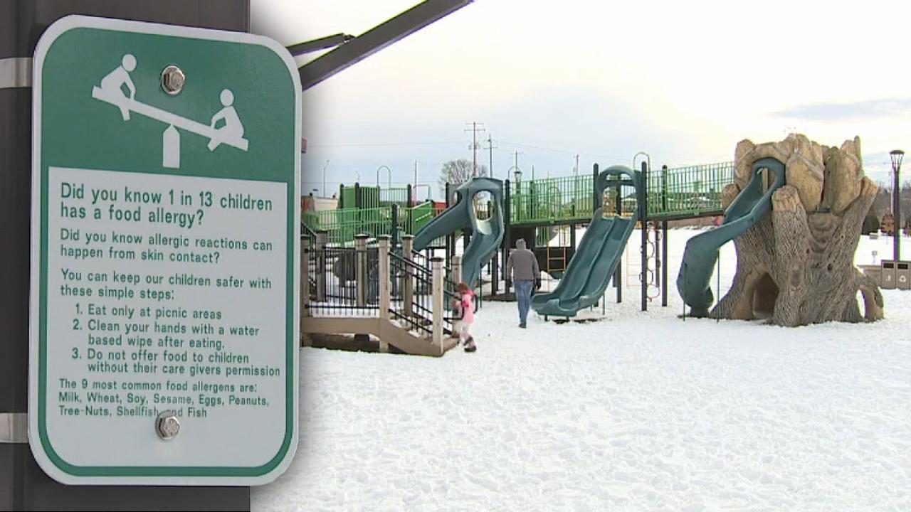 Push to make playgrounds safer for children with food allergies