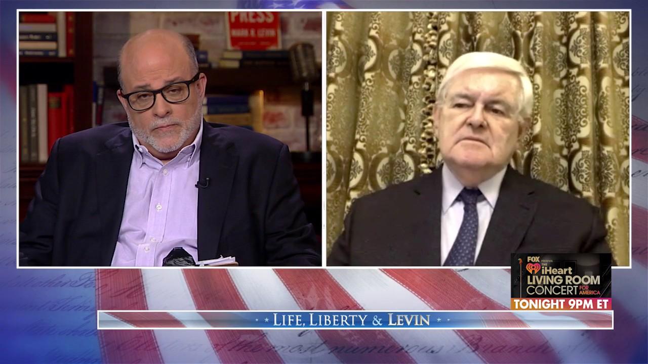 Newt Gingrich: Coronavirus battle 'like a war,' so Americans must call lawmakers to stop the 'pork'