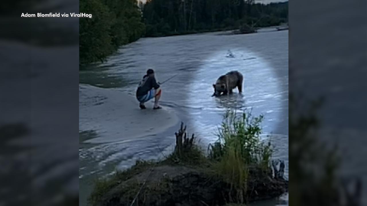 Bear steals fisherman's catch right off the line in wild video