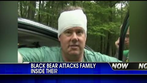 Black Bear Attacks Family Inside Their Pennsylvania Home