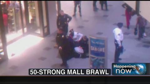 VIDEO: 50-Person Brawl Breaks Out At Mall Of America In Minnesota | Fox ...