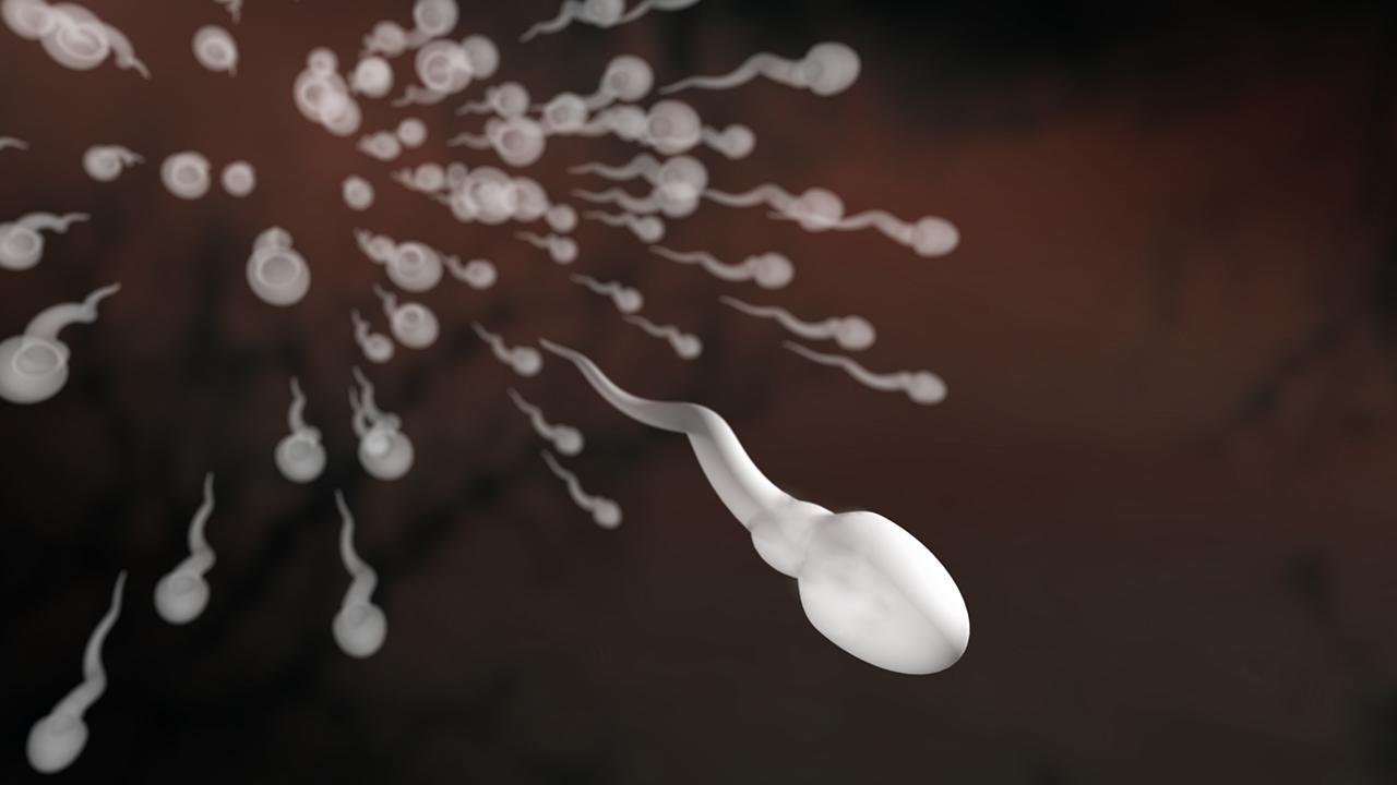 Брызги спермы разлетаются в разные стороны