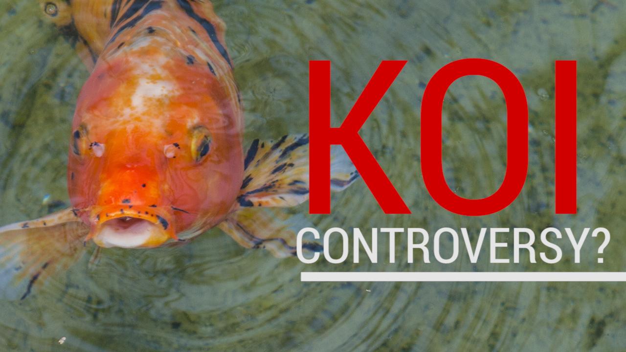 What Trump koi fish controversy? Watch what really happened