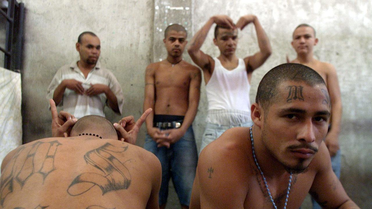 The MS-13 Gang