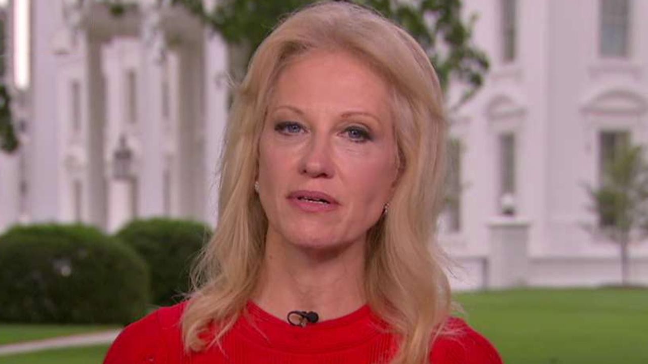 Kellyanne Conway challenges leaker who floated using immigrant kids as ...