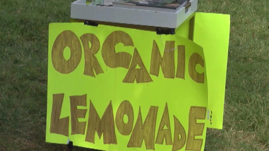 9-year-old robbed at gunpoint at his lemonade stand