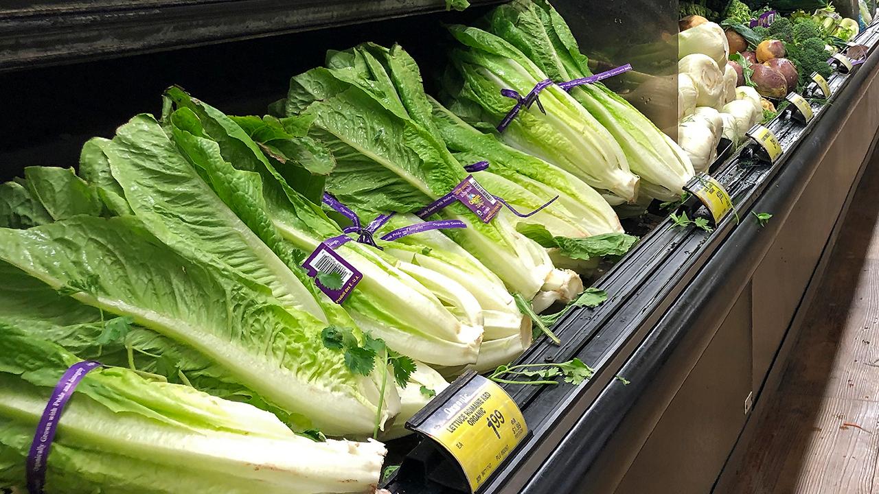 CDC warns of E. coli in romaine lettuce