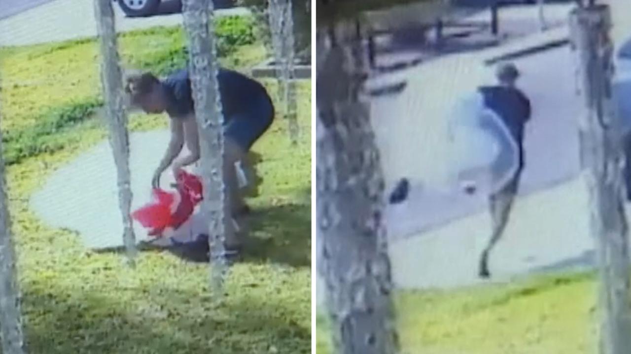 Christmas decorations stolen from Arizona family by brazen thief caught ...