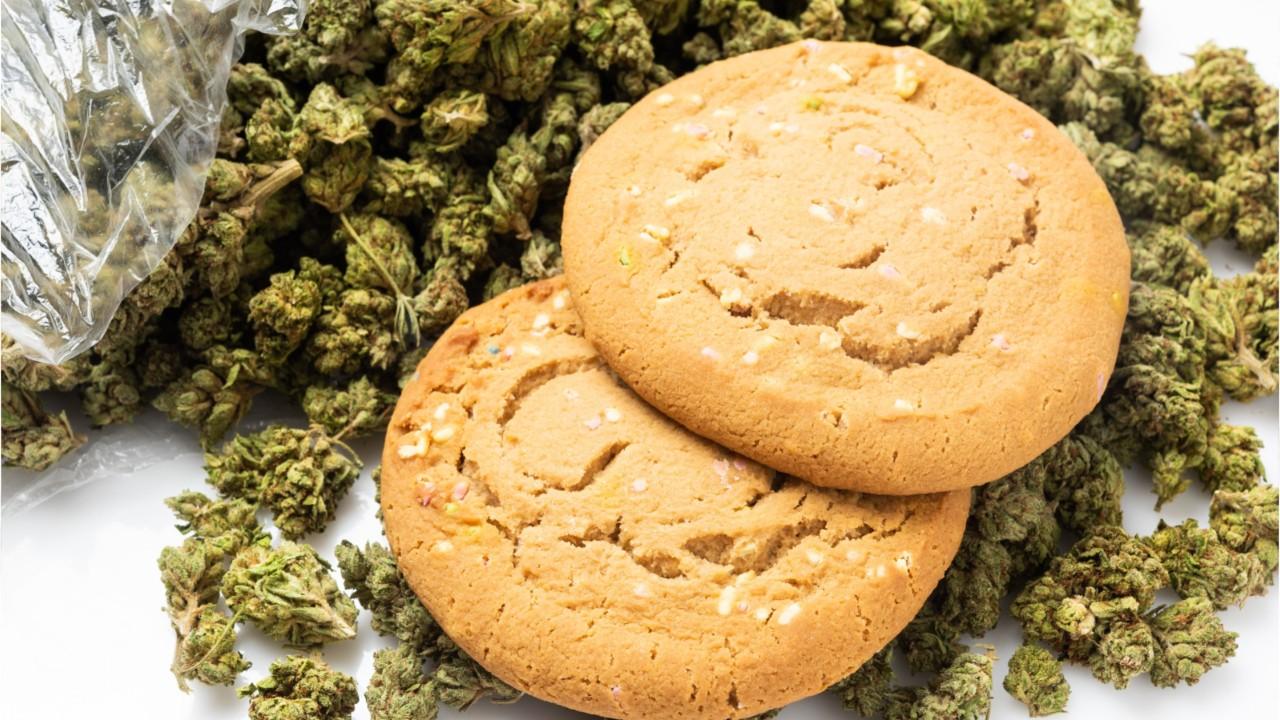 California doctor loses his license after he recommended a 4-year-old eat marijuana cookies for 'temper tantrums'