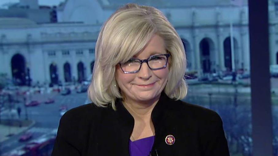 Rep. Liz Cheney says Republicans must hold Democrats and their 'radical ...