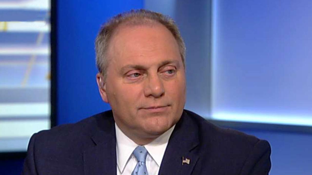 House Democrats block Rep. Steve Scalise from testifying in gun control hearing
