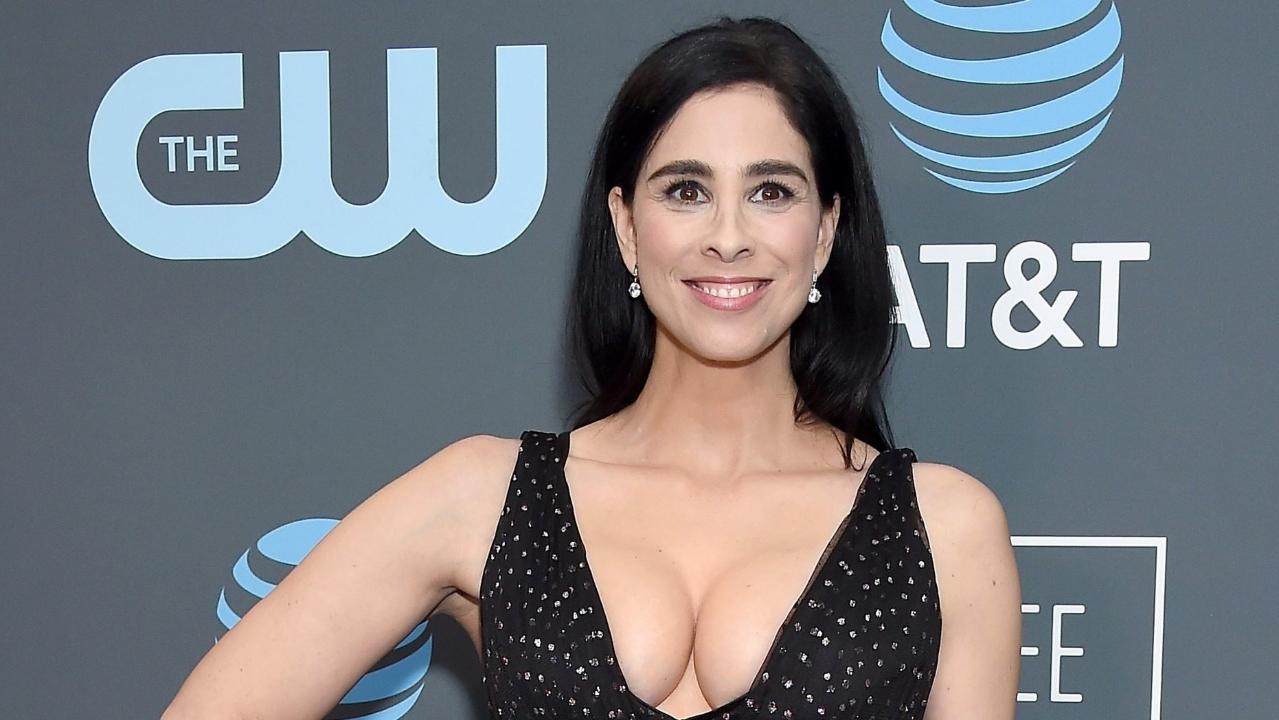 Sarah Silverman Porn Double - Sarah Silverman tests Instagram's community guidelines with topless photo |  Fox News