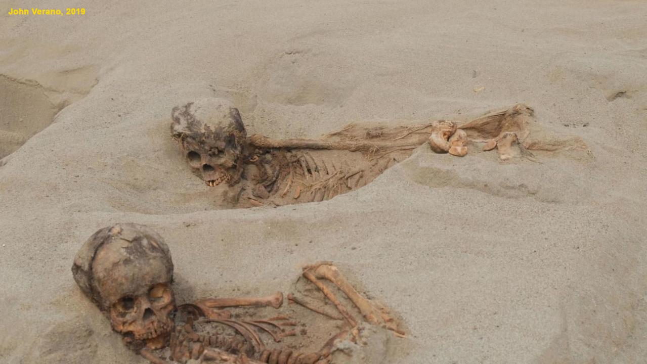 Sacrifice site found in Peru contains the remains of more than 140 children