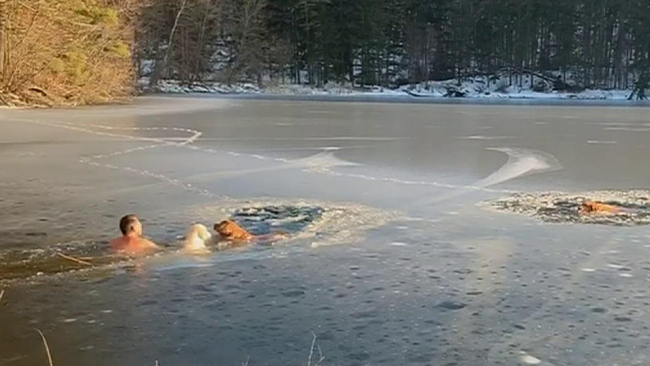 is it ok to bathe a dog with cold water