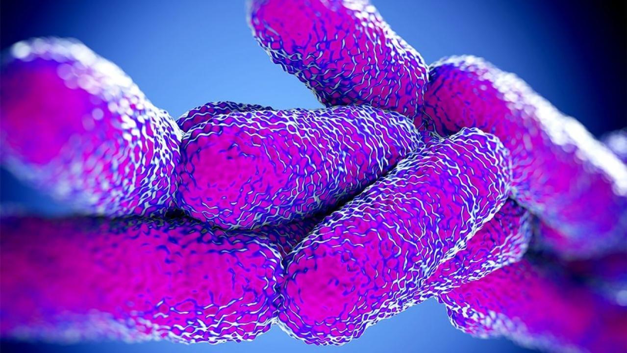 Outbreak of legionnaires in Oregon apartment complex leaves 1 dead