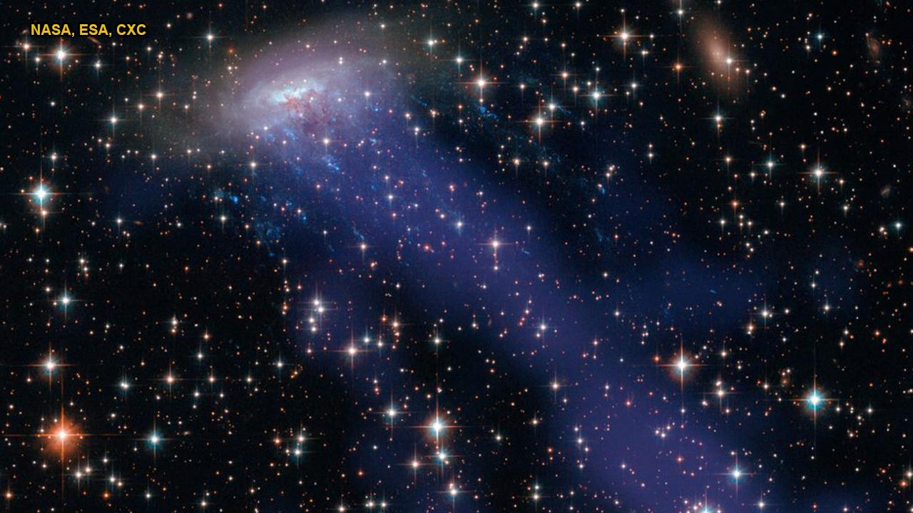 NASA spots mysterious galactic 'jellyfish' in space