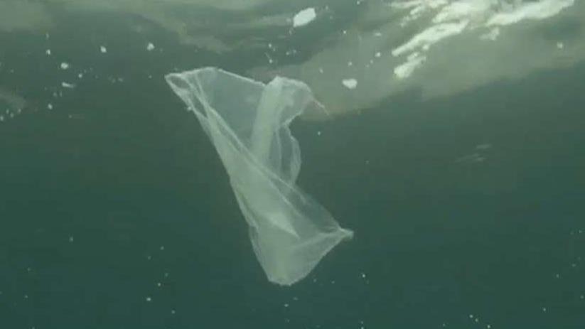 EPA administrator says US will focus on plastic pollution in the oceans at G20 summit