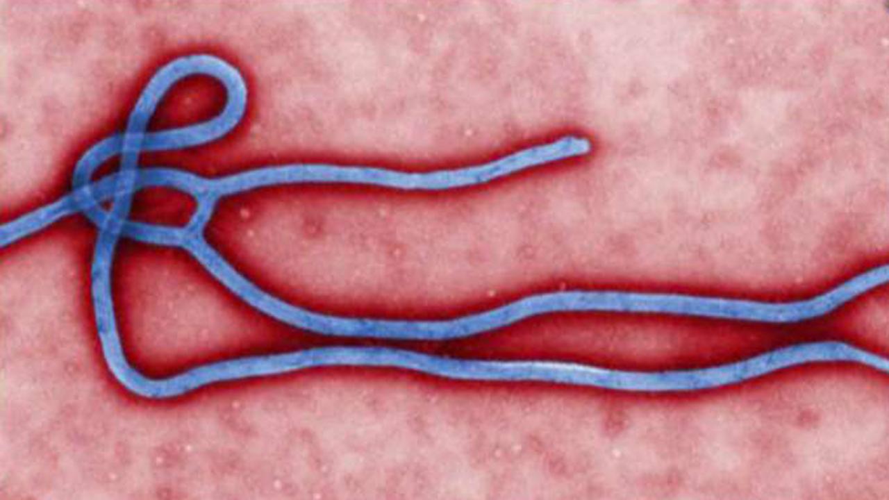 Congo supports potential Ebola outbreak of coronavirus