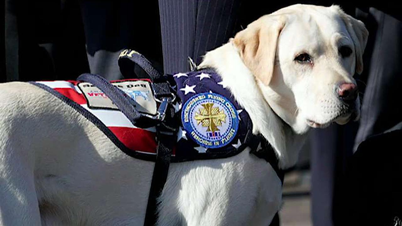 President George H.W. Bush’s service dog Sully memorialized with statue