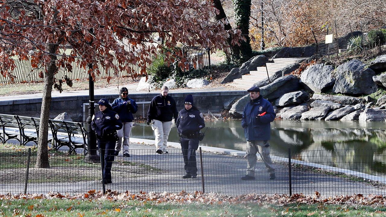 NYC teen suspected in Barnard students stabbing death faces judge Fox News photo