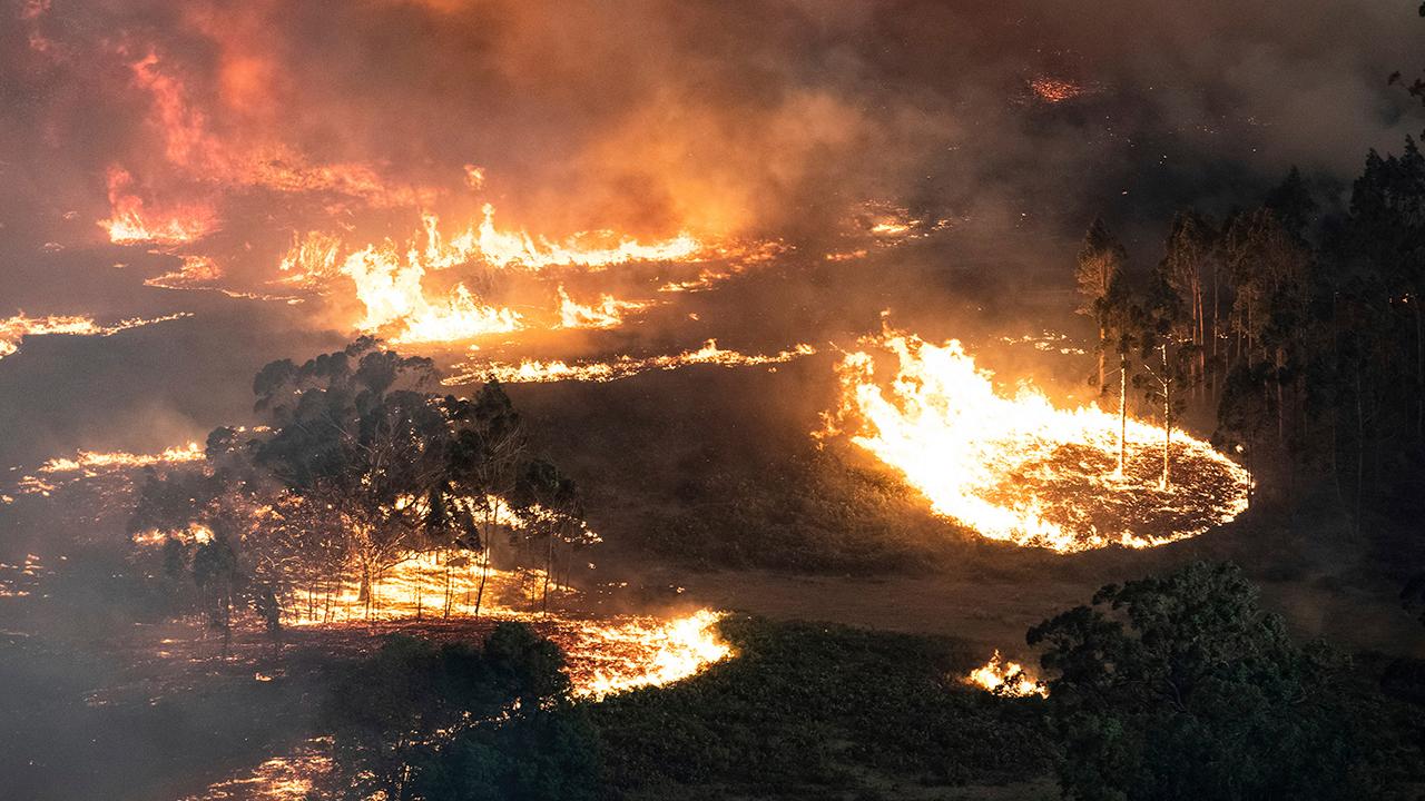 Effects from Australian bushfires felt all over as smoke